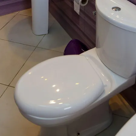 Viola *