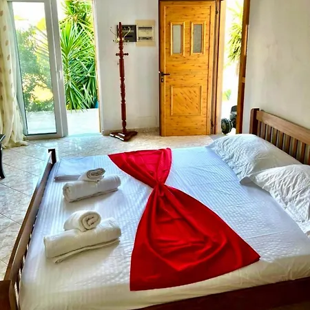 Viola Hotel *