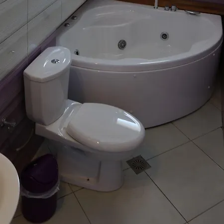 Viola Seaside كساميل